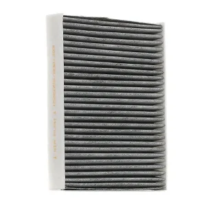 RIDEX 424I0060 Pollen filter